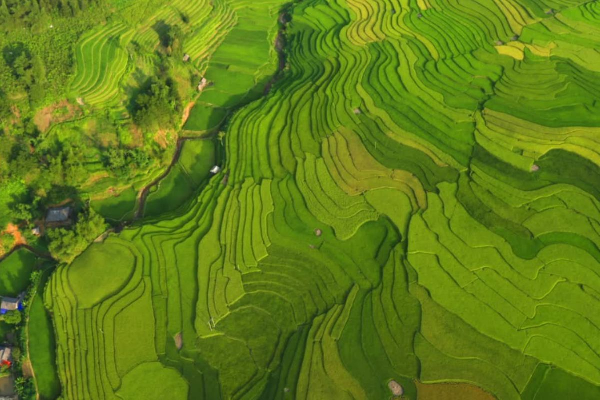 7D6N Magical Mu Cang Chai & Stunning Sapa Tour - photo 8